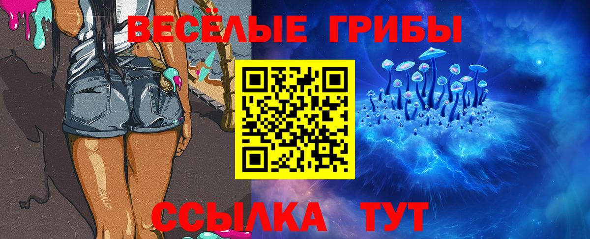 Галлюциногенные грибы MAGIC MUSHROOMS  Галлюциногенные грибы GOLDEN TEACHER  Ялта  цена наркотик  Вход с VPN 