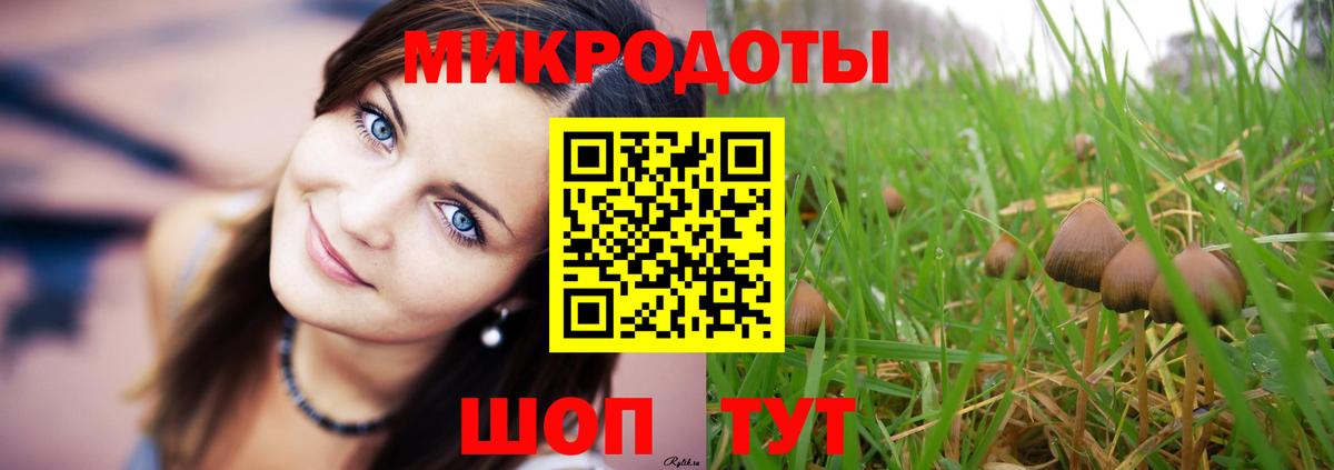 Галлюциногенные грибы Magic Shrooms Ялта