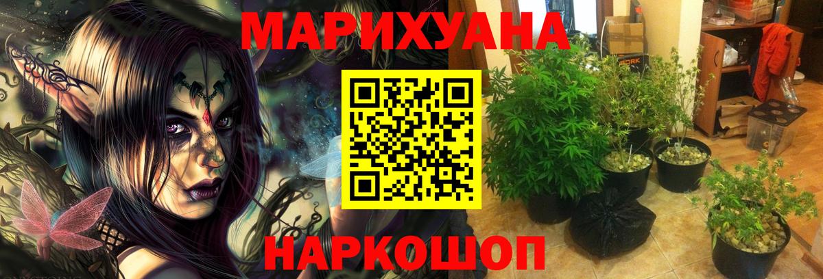 Каннабис Bruce Banner  Конопля VHQ  Вход с VPN  Конопля Ganja  Ялта  МАРИХУАНА индика 